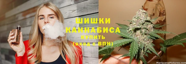 ешки Аркадак