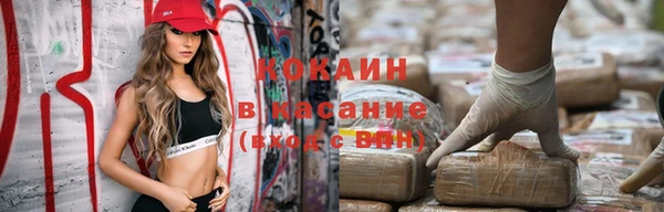 ешки Аркадак