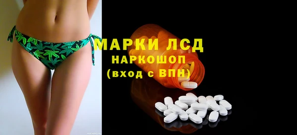 ешки Аркадак