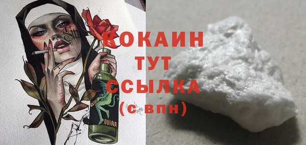 индика Армянск