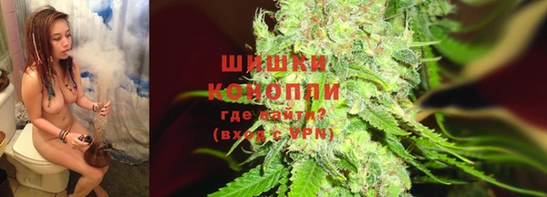ешки Аркадак