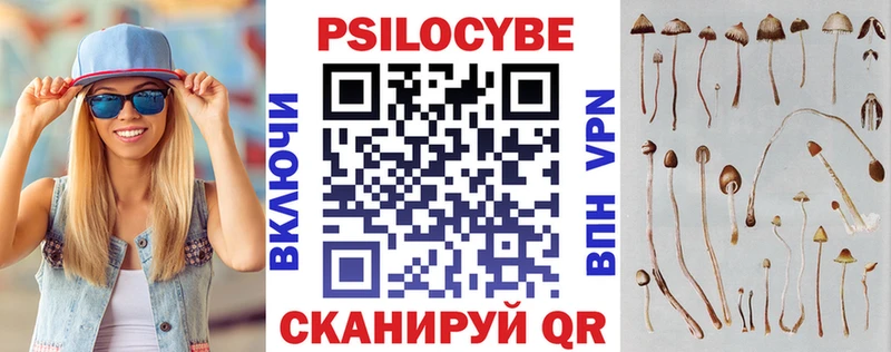 Галлюциногенные грибы Psilocybe  где найти   Талица 
