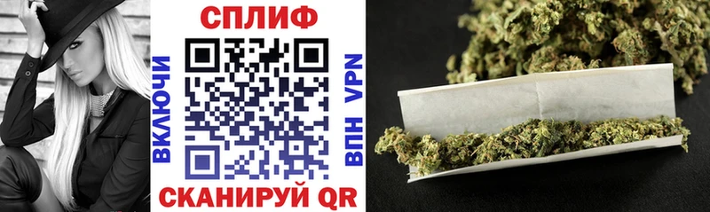 дарнет шоп  Талица  Шишки марихуана THC 21% 